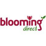 Blooming Direct Promo Codes
