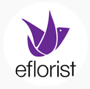 eFlorist Promo Codes
